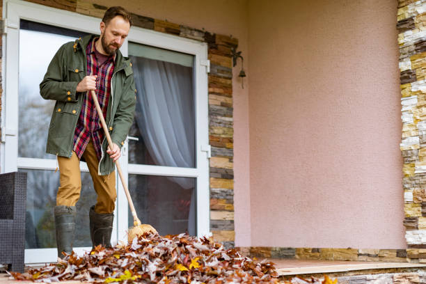 Debris Removal in Tiburon, CA